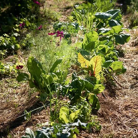 Altanure Casa Terra - Ecological Boutique Hotel *