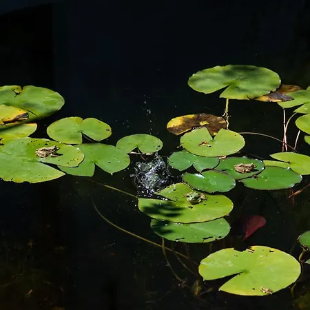 酒店 Altanure Casa Terra - Ecological Boutique